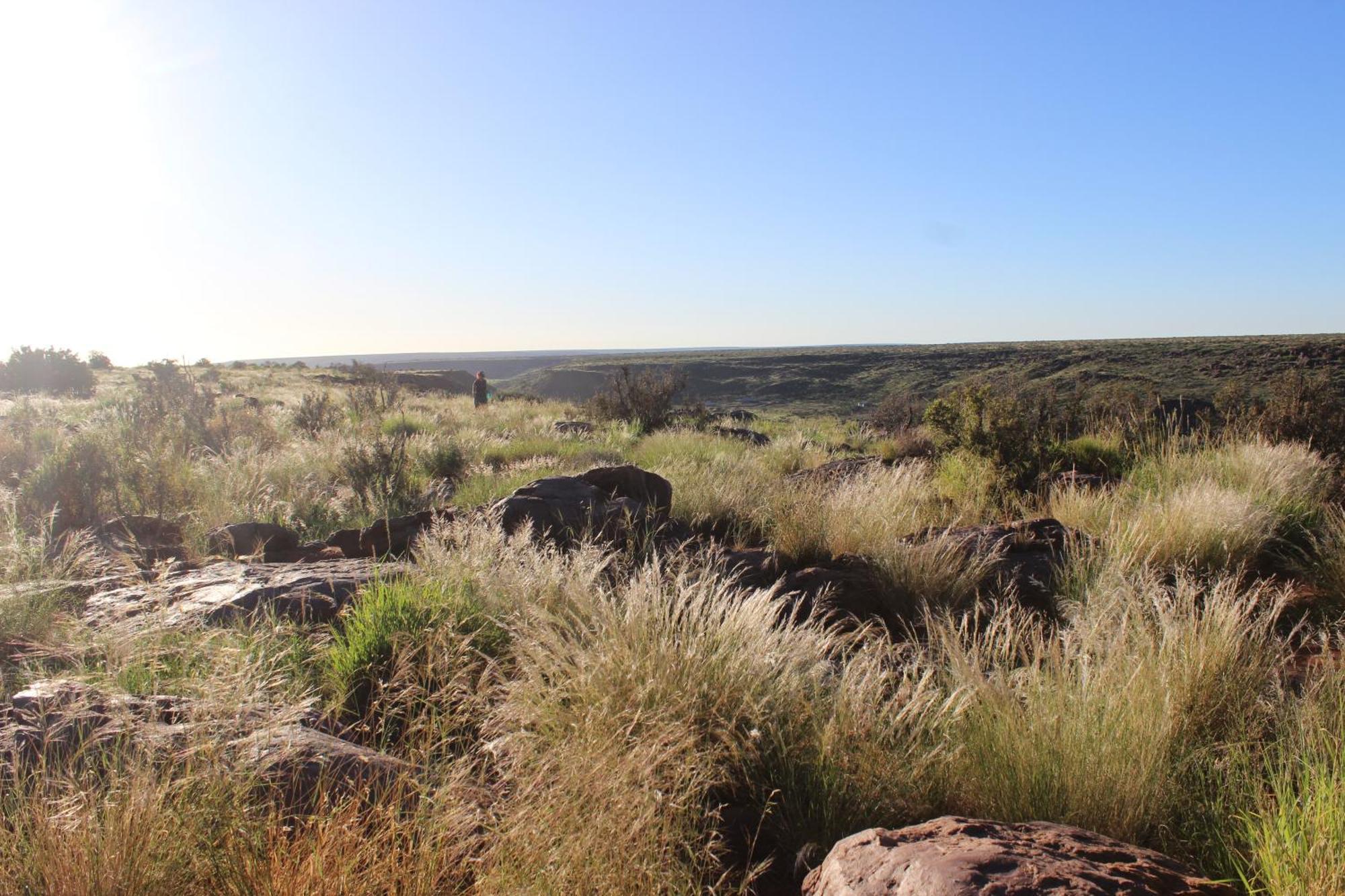 马尔塔赫厄The Farm Life - Namibia公寓 外观 照片